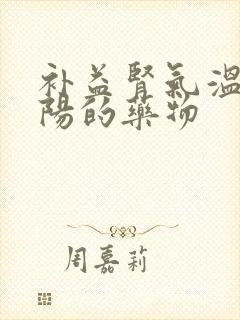 补益肾气温补肾阳的药物