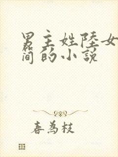男主姓陆女主姓简的小说