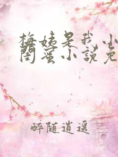 梅姨是我小妈的闺蜜小说免费阅读