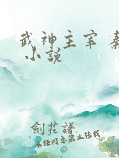 武神主宰 秦尘 小说