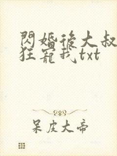 闪婚后大叔每天狂宠我txt