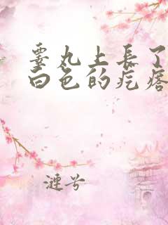 睾丸上长了一个白色的疙瘩