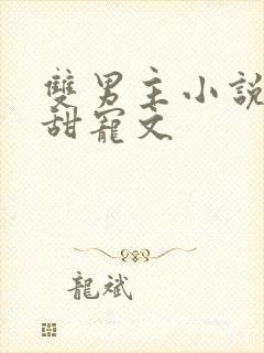 双男主小说推荐甜宠文