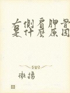 右侧肩胛骨疼痛是什么原因女性