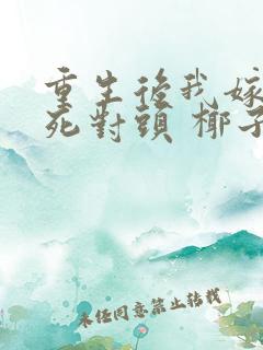 重生后我嫁给了死对头 椰子絮