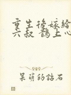 重生后嫁给前夫六叔 鹊上心头