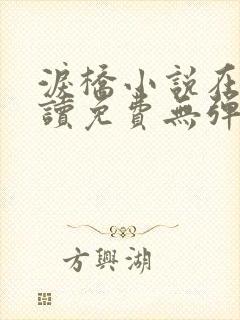 泪桥小说在线阅读免费无弹窗