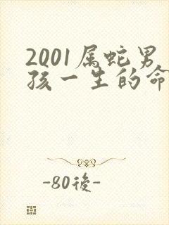 2001属蛇男孩一生的命运
