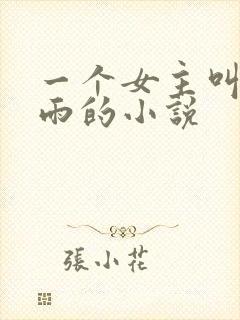一个女主叫秦小雨的小说
