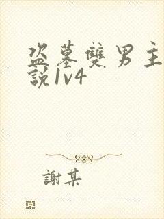 盗墓双男主的小说1v4