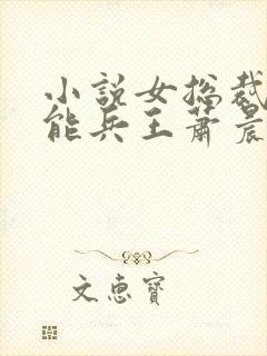 小说女总裁的全能兵王萧晨免费阅读全文