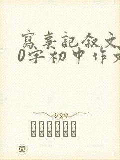 写事记叙文600字初中作文