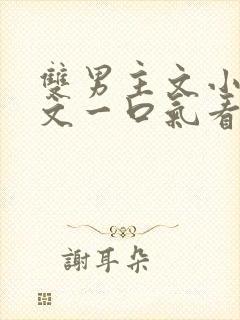 双男主文小说推文一口气看完