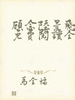 顾念陆晨飞小说免费阅读全文无弹窗