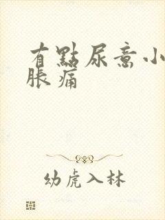 有点尿意小腹就胀痛