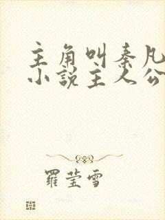 主角叫秦凡是的小说主人公