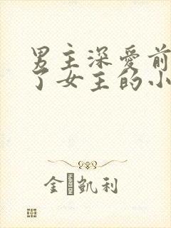 男主深爱前任娶了女主的小说