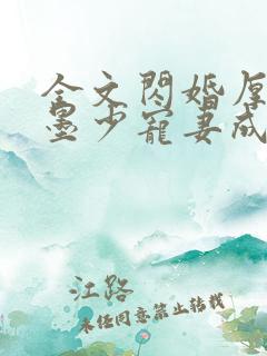 全文闪婚厚爱:墨少宠妻成瘾