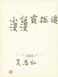 小说霸总追妻路漫漫