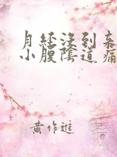 月经没到来但是小腹阴道痛还痒