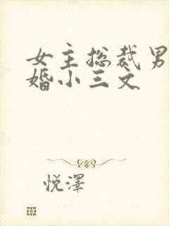 女主总裁男主已婚小三文