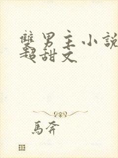 双男主小说推荐超甜文