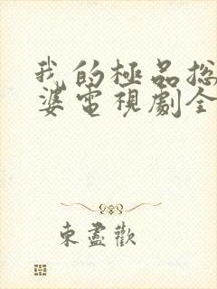 我的极品总裁老婆电视剧全集