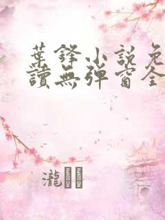 叶锋小说免费阅读无弹窗全文