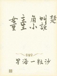 女主角叫楚瑜的重生小说