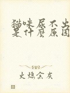 猫咪尿不出尿来是什么原因