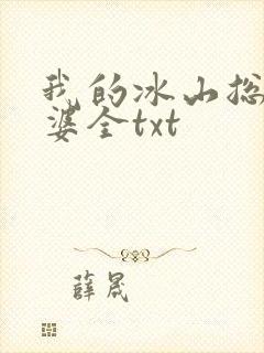 我的冰山总裁老婆全txt