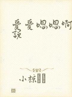 爱爱嗯嗯啊啊小说