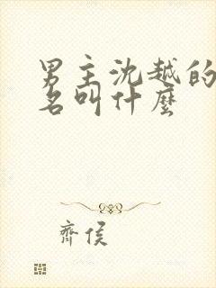 男主沈越的小说名叫什么