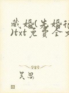 藏婚(先婚后爱)txt免费全文阅读