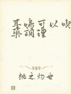 耳鸣可以吃什么药调理