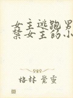 女主逃跑男主囚禁女主的小说