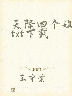 天降四个姐姐 txt下载