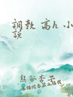 调教 高h 小说