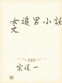 女追男小说甜宠文