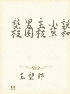 双男主小说推荐校园校草和校霸