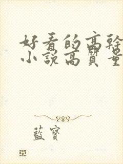 好看的高干言情小说高质量文笔好