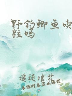 野钓鲫鱼吃玉米粒吗