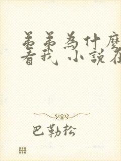 弟弟为什么这样看我 小说在线阅读