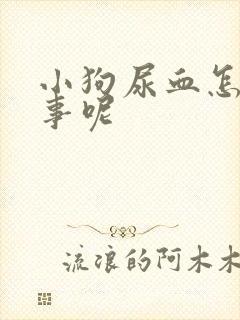 小狗尿血怎么回事呢