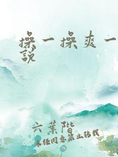 操一操爽一爽小说