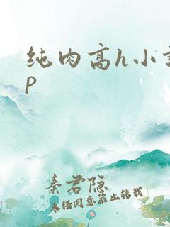 纯肉高h小说np