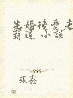 先婚后爱老公太霸道 小说