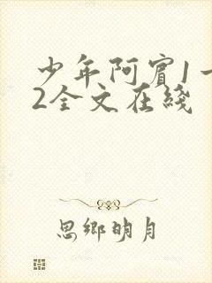 少年阿宾1一72全文在线