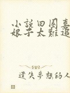 小说田园喜嫁之娘子太难追全文阅读