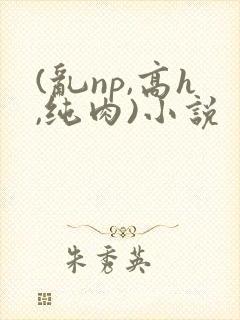 (乱np,高h,纯肉)小说